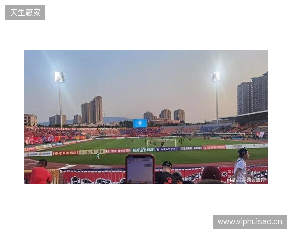 为中超做准备？官方：铜梁龙体育场将闭馆维护改造