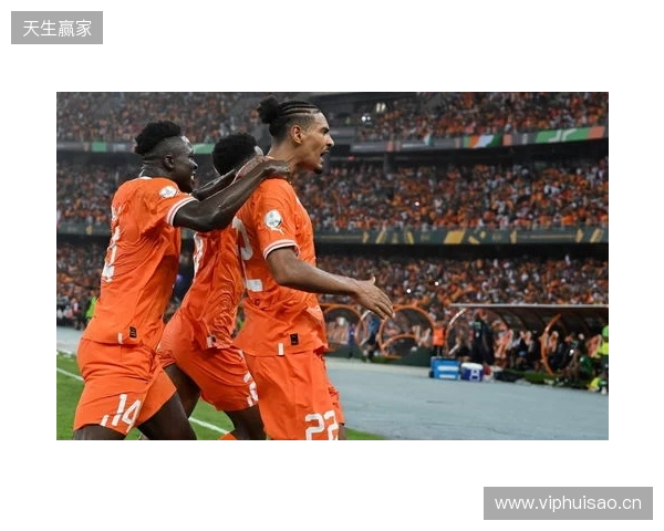 记者：阿莱受伤无缘非洲杯，上届决赛曾进球帮助科特迪瓦夺冠